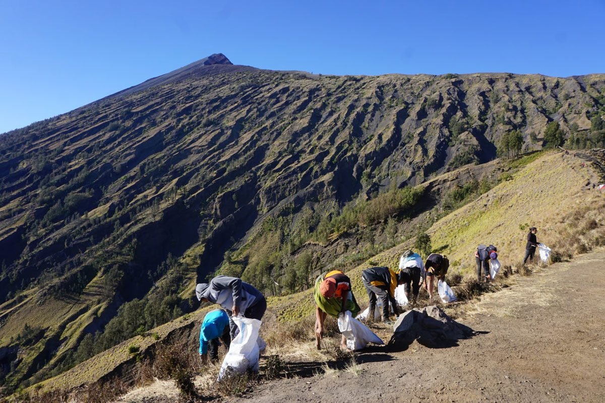 about us green rinjani