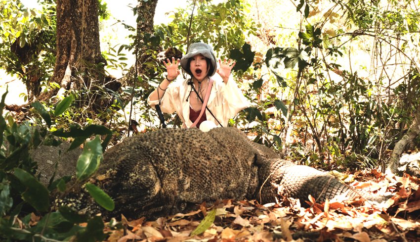 Komodo Dragon - Day tour Komodo by speedboat