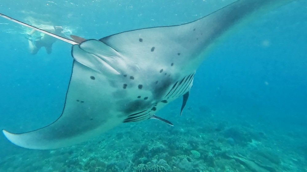 Lombok to Komodo 4D3N