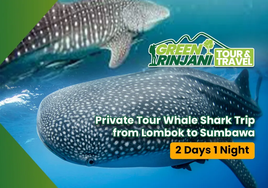 sumbawa island tours